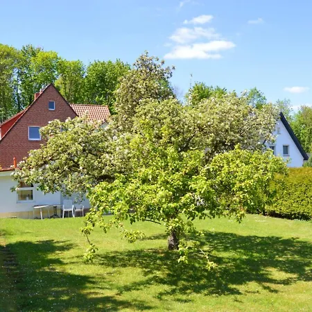 Waldblick Bückeburg